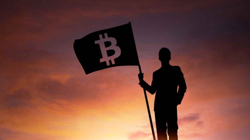 Bitcoin-Centric Wealth Building: Advanced Strategies for Crypto Investors