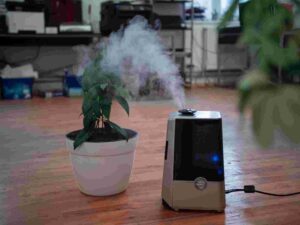 Air Purifiers