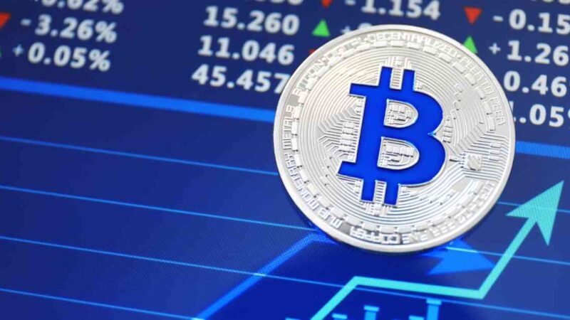 Hidden Gems and Opportunities: Bitcoin Investment Beyond the Top 10