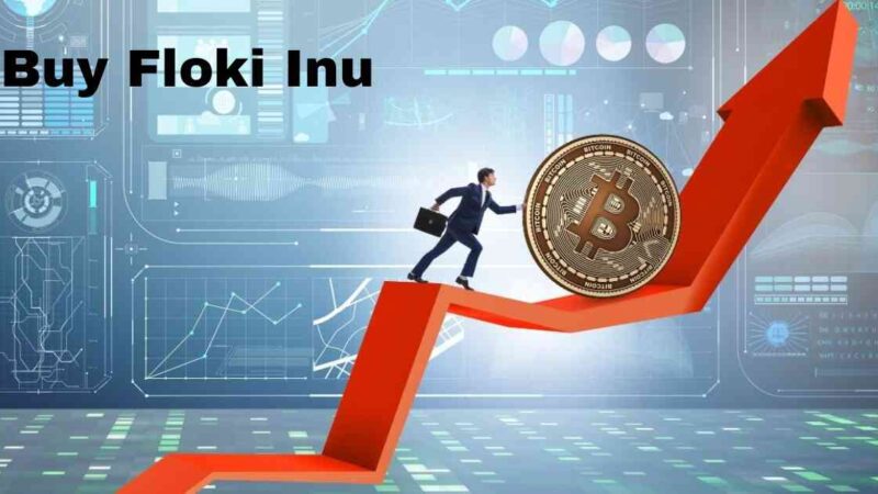 Here Is Everything You Need To Know About How To Buy Floki Inu