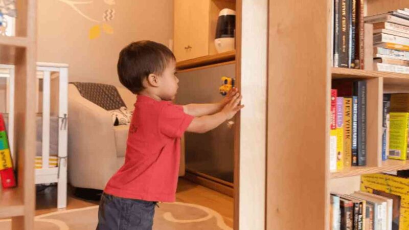 Factors to Consider While Buying a Bookshelf For Your Kid’s Room