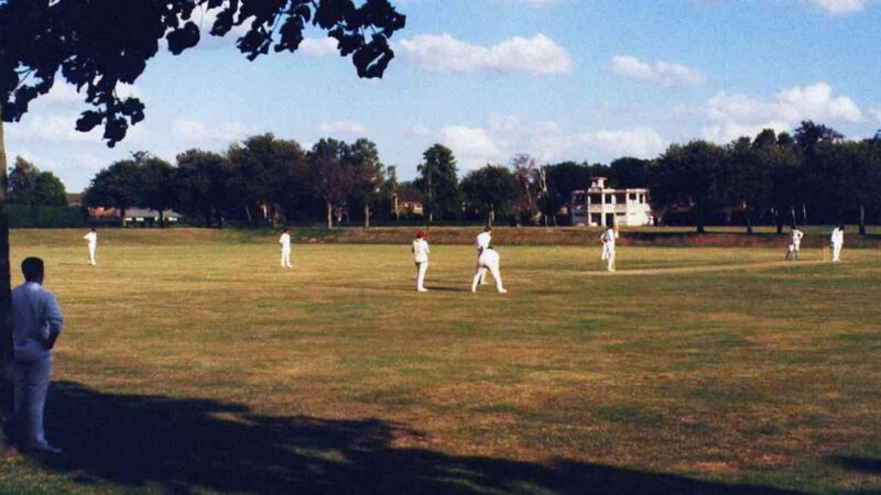 Cricket SRL: Examining Simulated Reality League Cricket