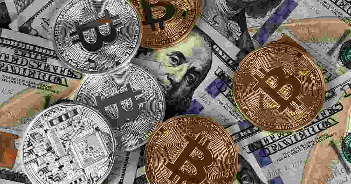 Why the Revolutionary Cryptocurrency Civic Coin Is Popular in 2024