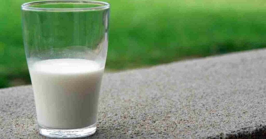 Dairy