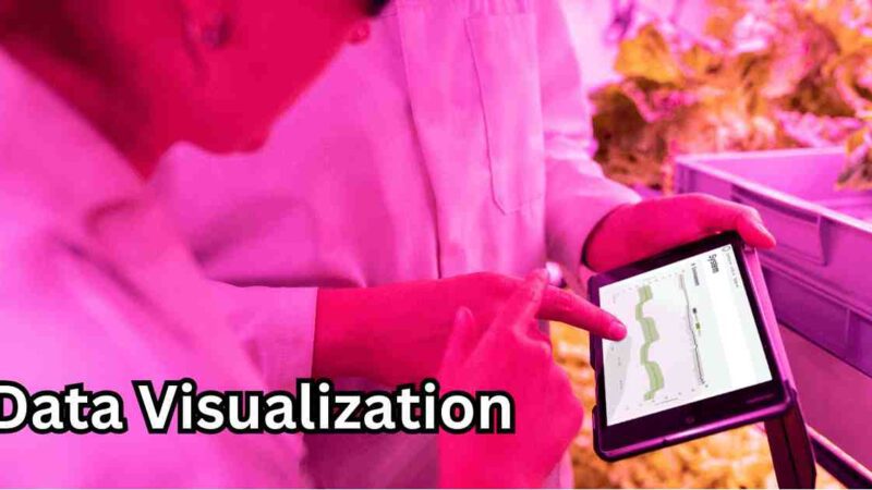 What Is Big Data Visualization? What Are Its Techniques?