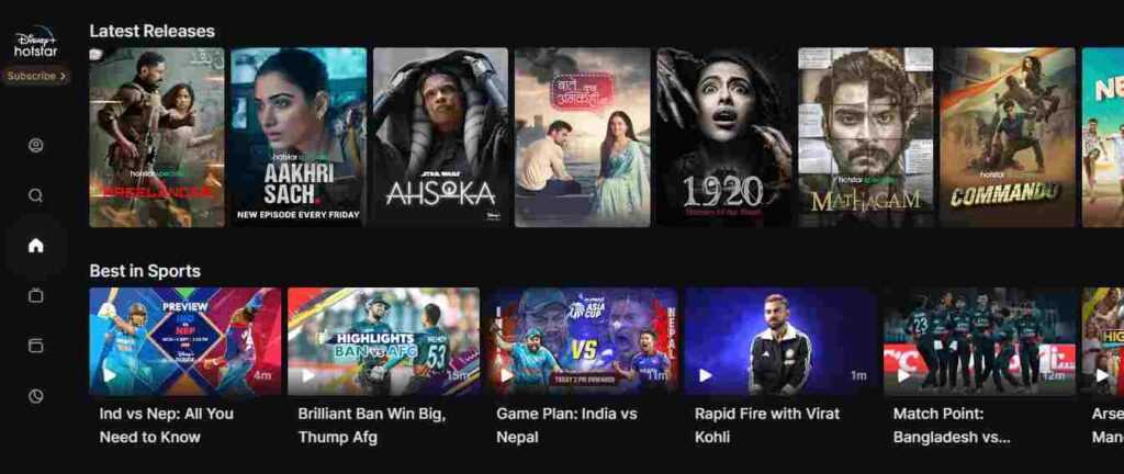 Disney Plus/ Netflix