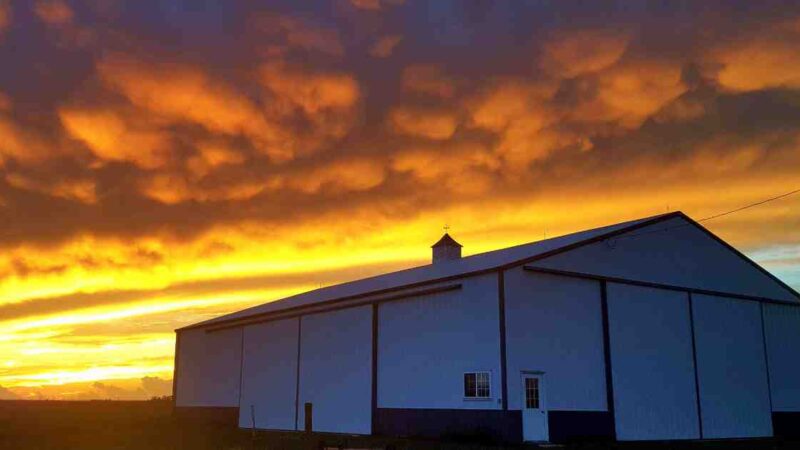 The Step-by-Step Guide to Building Your Farm Shed