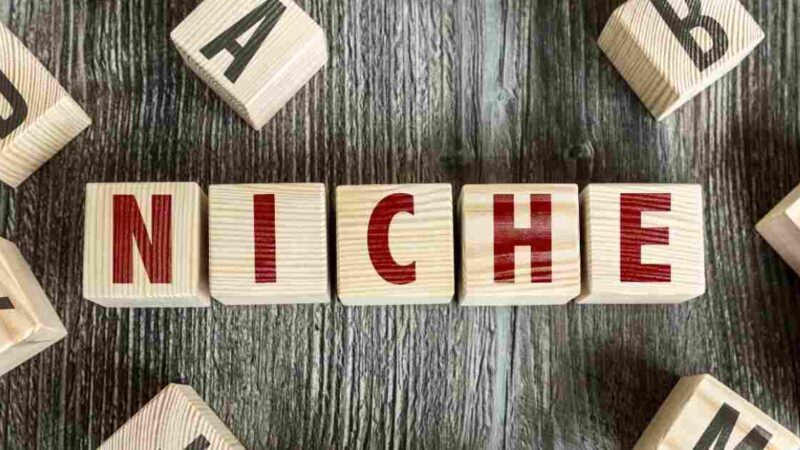 Major reasons to do niche edits for your site