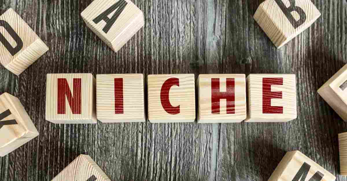 Major reasons to do niche edits for your site