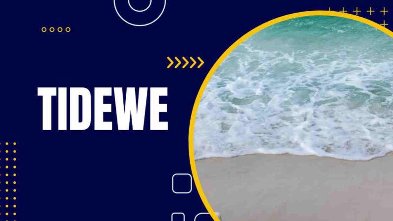Exploring the Wilderness: A Comprehensive Guide to TideWe Hunting Boots