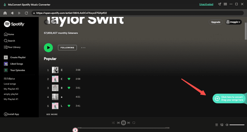 Pick Your Playlist to Convert